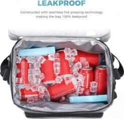 Lifewit 20L Koeltas | 20 Liter | Opvouwbaar | Koelbox-Koeltas | Isolatietas/ Picknicktas Voor Levensmiddelen / Grijs -Outdoor Kampeerwinkel 1200x1153