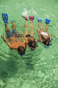 ReefTourer Snorkelmasker Duikbril Snorkelset RC-0105-zwart/blauw -Outdoor Kampeerwinkel 800x1200 24